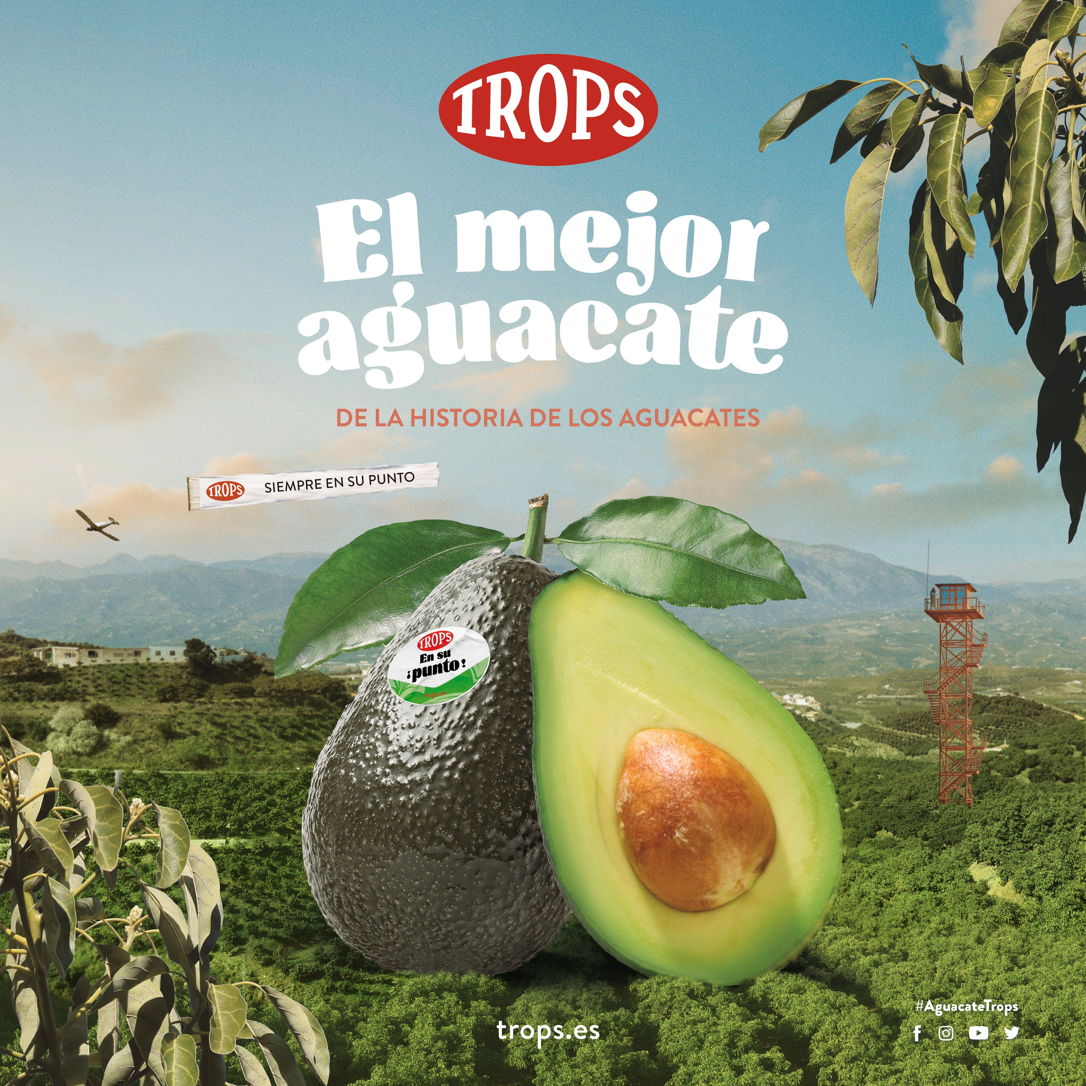 Trops lanza la campaña "Aguacate TROPS, el mejor aguacate de la historia de los aguacates" Trops lanza la campaña "Aguacate TROPS, el mejor aguacate de la historia de los aguacates"