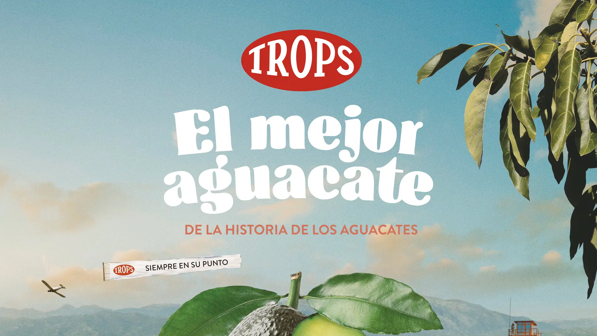 Trops lanza la campaña ‘Aguacate TROPS, el mejor aguacate de la historia de los aguacates’ 