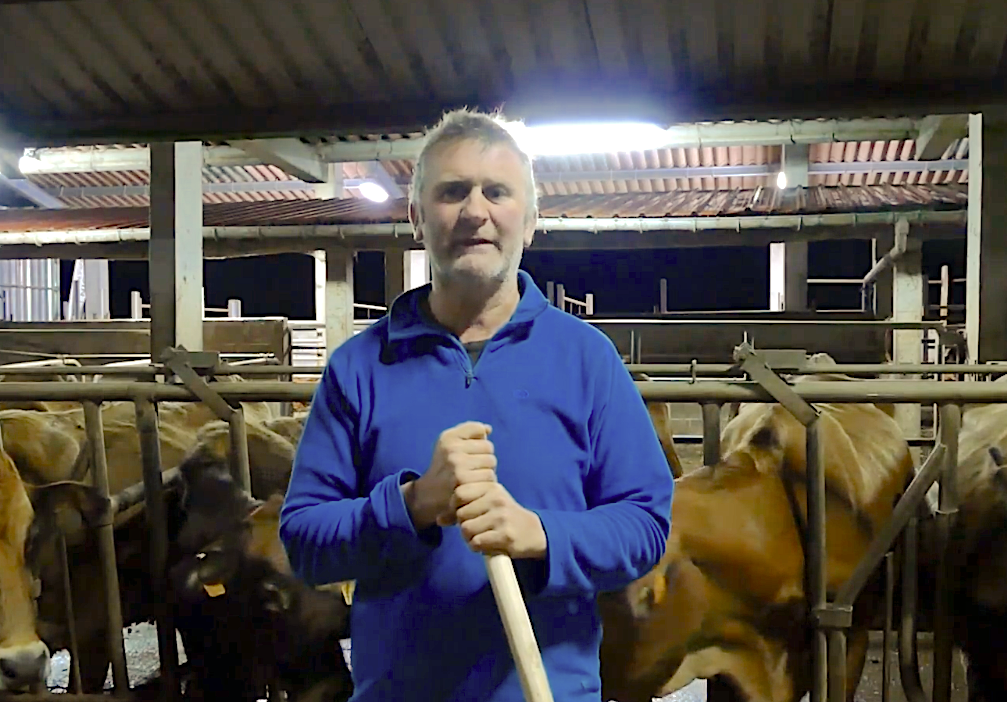 El juzgado obliga a la readmisión de la candidatura 'Aseava por y para la ganadería' como medida cautelar El juzgado obliga a la readmisión de la candidatura 'Aseava por y para la ganadería' como medida cautelar