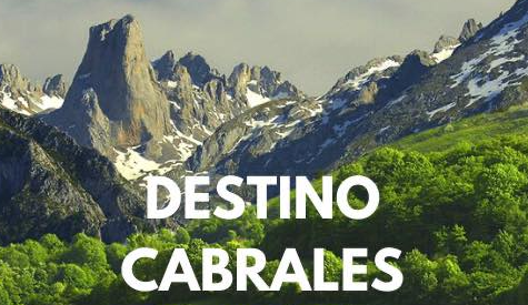 Otea contará con una junta local en Cabrales en colaboración con el colectivo turístico y hostelero local Otea contará con una junta local en Cabrales en colaboración con el colectivo turístico y hostelero local