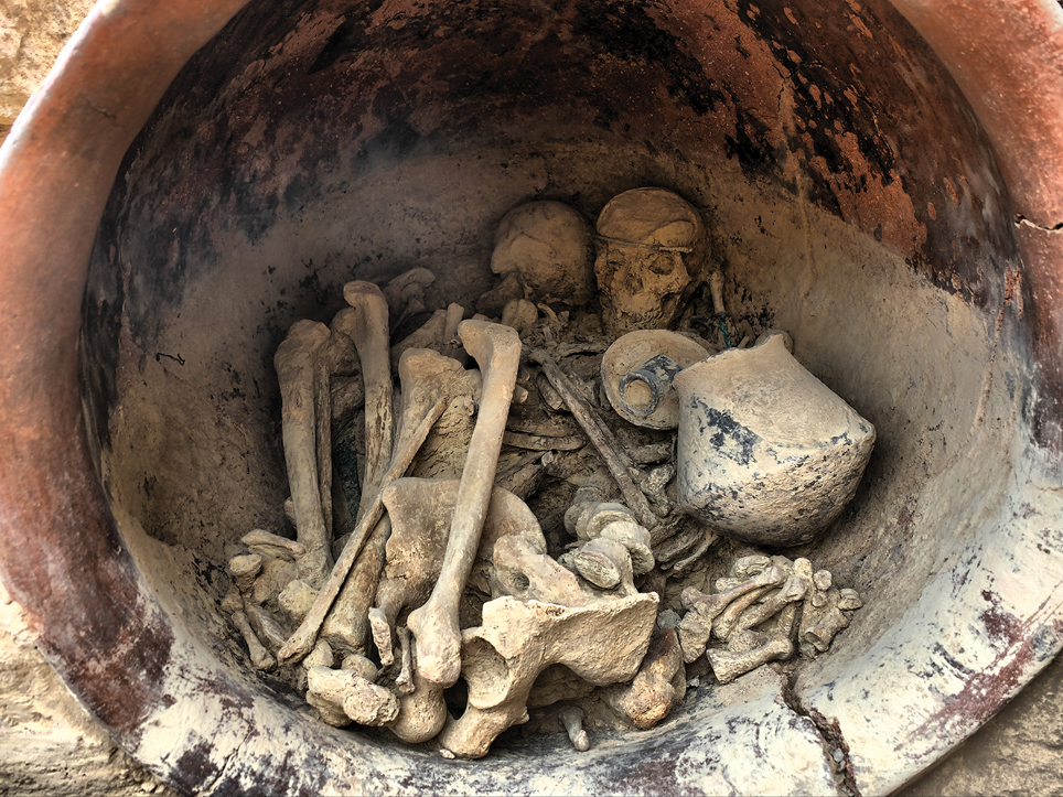 Las mujeres de la élite pudieron gobernar en El Argar hace 4.000 años Las mujeres de la élite pudieron gobernar en El Argar hace 4.000 años