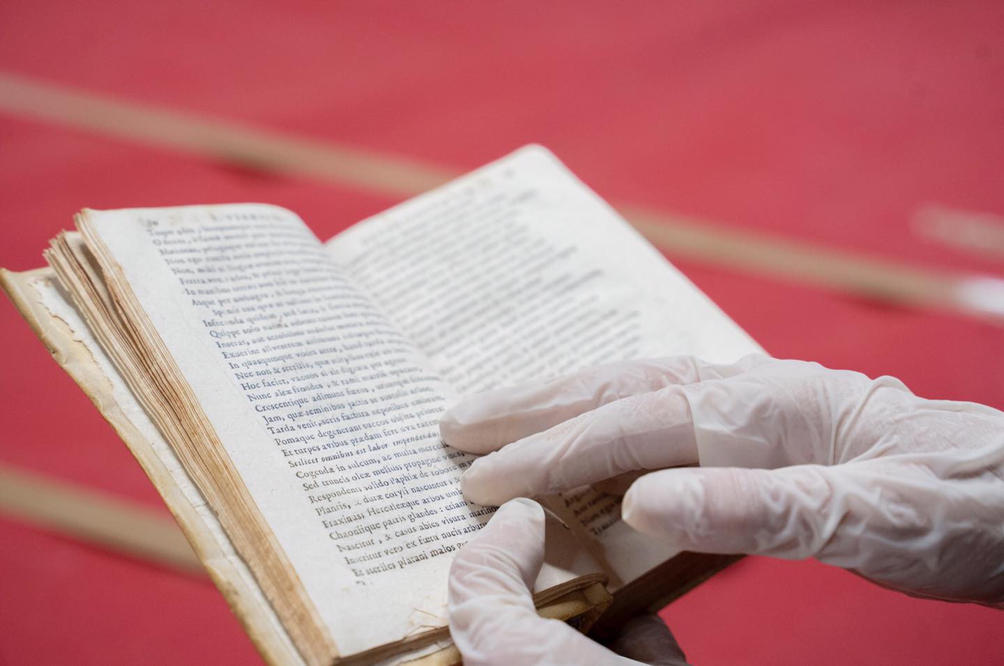 Las joyas de la Biblioteca Lobo: un relato de la historia de San Fernando Las joyas de la Biblioteca Lobo: un relato de la historia de San Fernando
