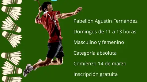 I Liga de badminton Segovia