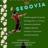 I Liga de badminton