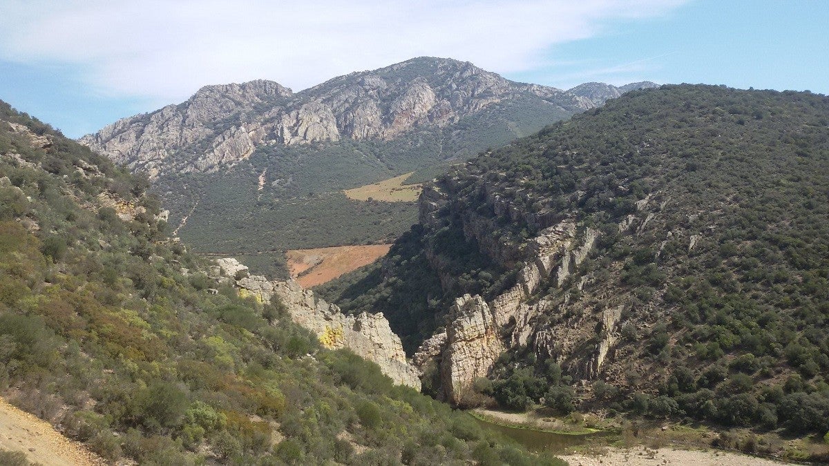 Valle de Alcudia y Sierra Madrona quiere relanzar sus actividades para el verano Valle de Alcudia y Sierra Madrona quiere relanzar sus actividades para el verano