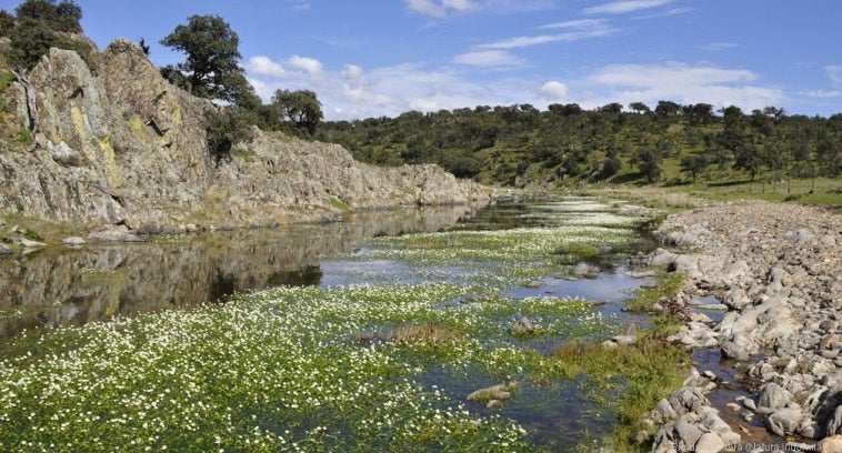 Se cumplen 10 años del Parque Natural del Valle de Alcudia y Sierra Madrona Se cumplen 10 años del Parque Natural del Valle de Alcudia y Sierra Madrona