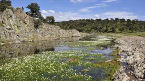 Valle de Alcudia