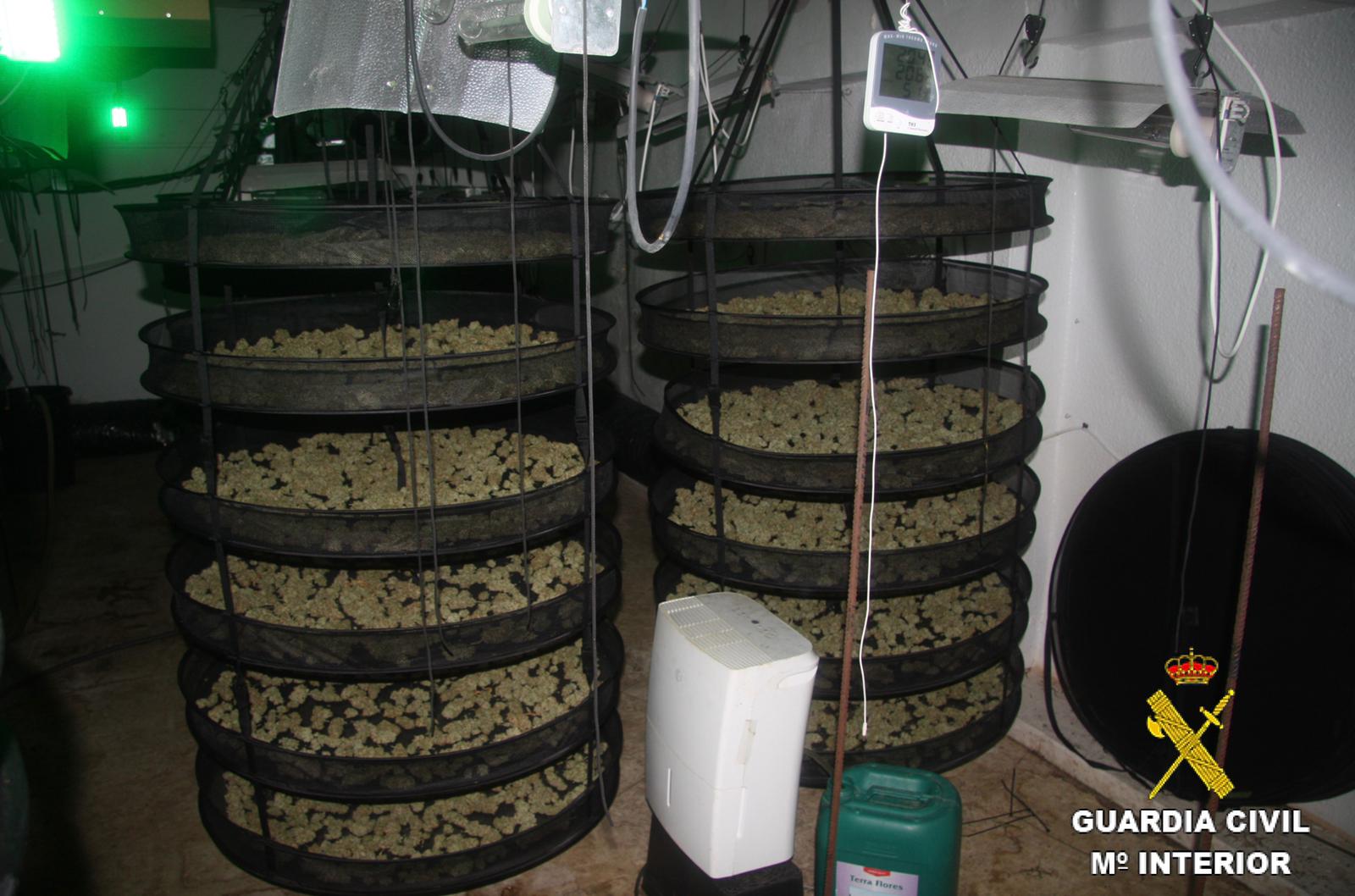 La Guardia Civil interviene una gran cantidad de marihuana en un local en la localidad de Punta Umbría La Guardia Civil interviene una gran cantidad de marihuana en un local en la localidad de Punta Umbría
