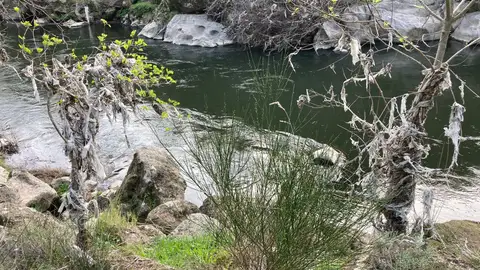 ADENEX denuncia el deficiente estado de conservación del río Jerte a su paso por Plasencia y propone un plan de recuperación de la zona ADENEX denuncia el deficiente estado de conservación del río Jerte a su paso por Plasencia y propone un plan de recuperación de la zona