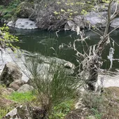 ADENEX denuncia el deficiente estado de conservación del río Jerte a su paso por Plasencia y propone un plan de recuperación de la zona ADENEX denuncia el deficiente estado de conservación del río Jerte a su paso por Plasencia y propone un plan de recuperación de la zona