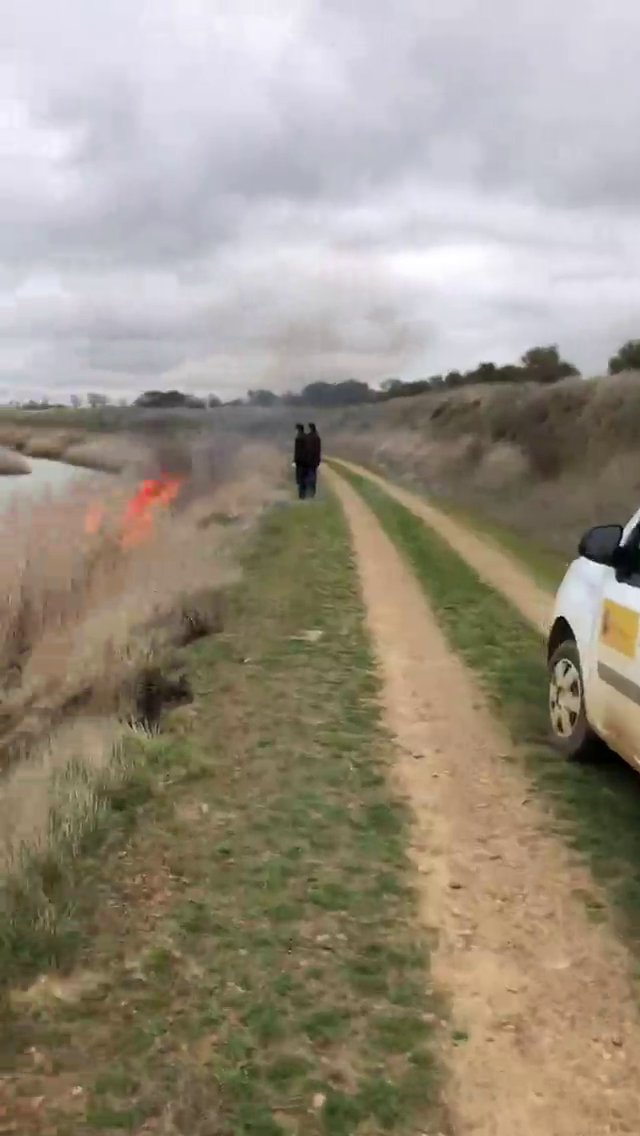 Vídeo: La Asociación de Naturalistas Palentinos denuncia a la Confederación Hidrográfica del Duero por llevar a cabo quemas incontroladas en el Canal de Castilla (Vídeo: Asociación de Naturalistas Palentinos) Vídeo: La Asociación de Naturalistas Palentinos denuncia a la Confederación Hidrográfica del Duero por llevar a cabo quemas incontroladas en el Canal de Castilla (Vídeo: Asociación de Naturalistas Palentinos)