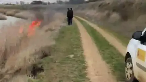 Vídeo: La Asociación de Naturalistas Palentinos denuncia a la Confederación Hidrográfica del Duero por llevar a cabo quemas incontroladas en el Canal de Castilla Vídeo: La Asociación de Naturalistas Palentinos denuncia a la Confederación Hidrográfica del Duero por llevar a cabo quemas incontroladas en el Canal de Castilla