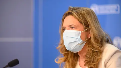 La consejera de salud del Gobierno Vasco, Gotzone Sagardui La consejera de salud del Gobierno Vasco, Gotzone Sagardui.