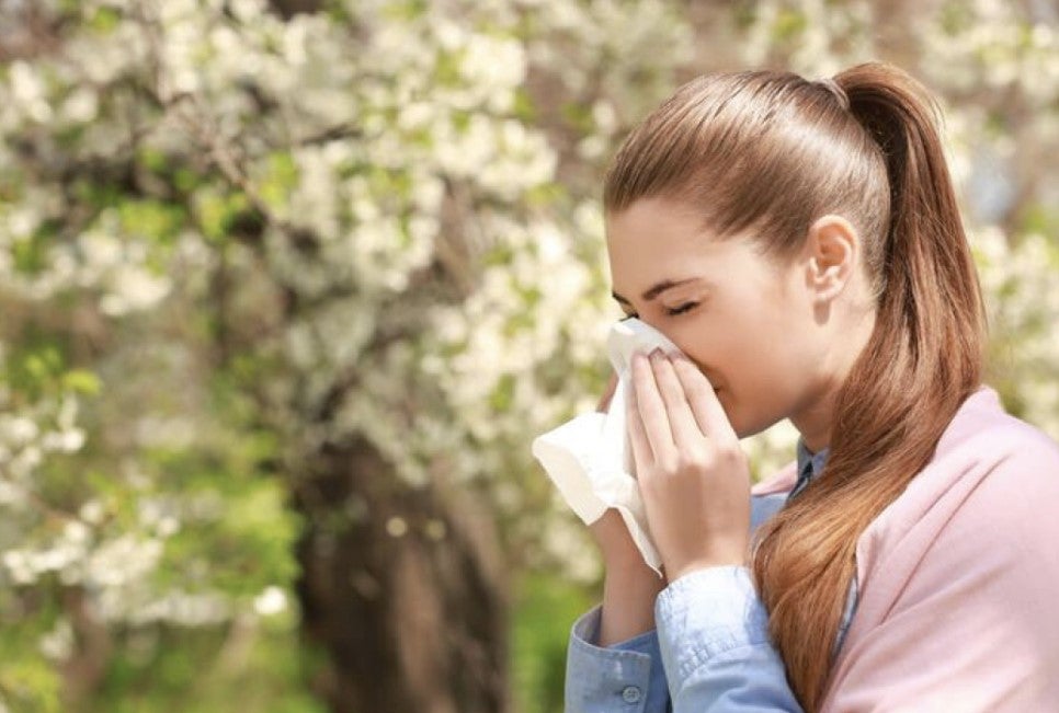 ¿Cuáles son las alergias más comunes y más raras que existen? ¿Cuáles son las alergias más comunes y más raras que existen?