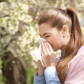 En primavera destacan las alergias a las gramíneas y al olivo en la provincia de Ciudad Real En primavera destacan las alergias a las gramíneas y al olivo en la provincia de Ciudad Real