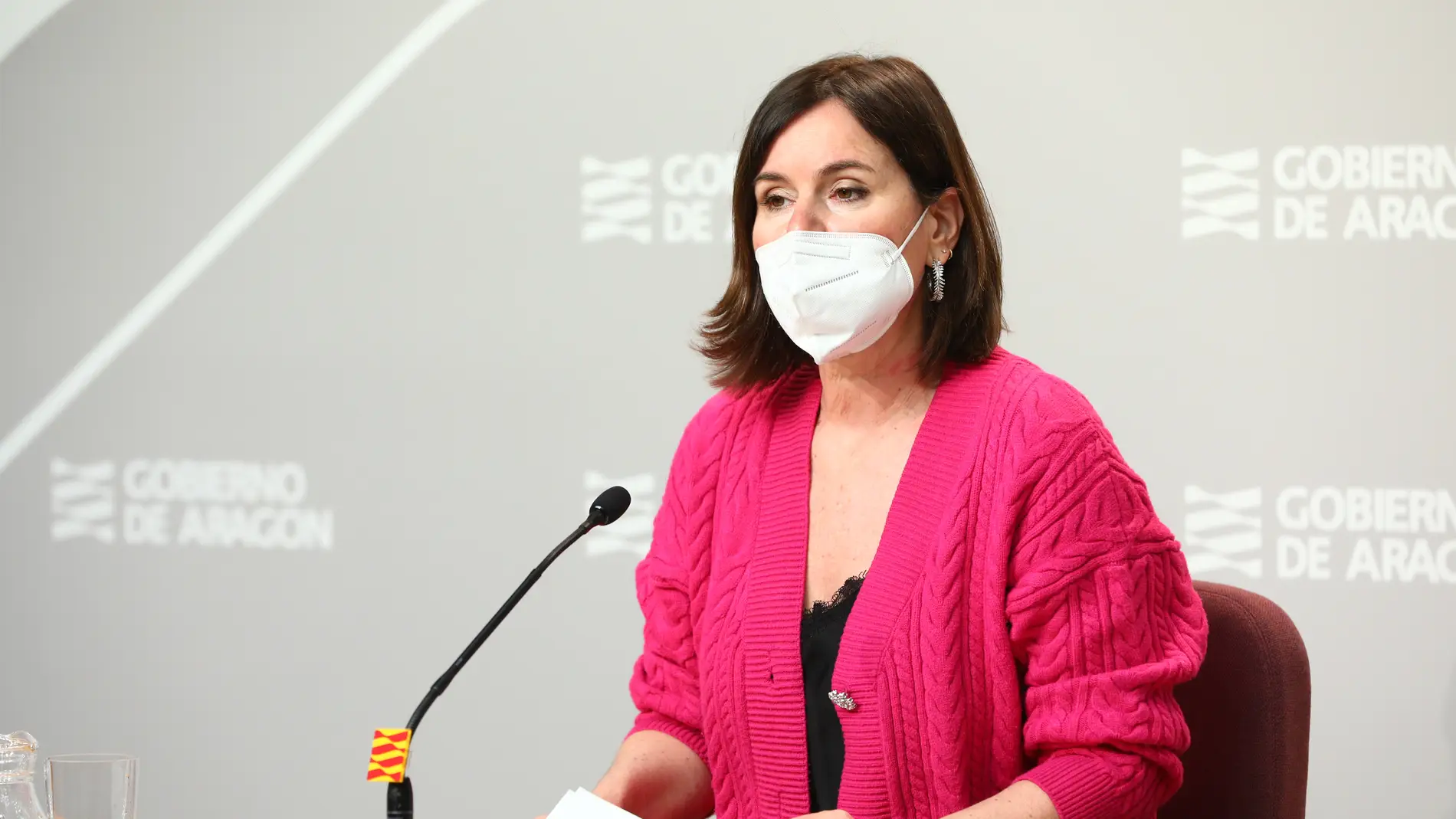 La directora general de Turismo, Elena Allué, ha presentado el decreto