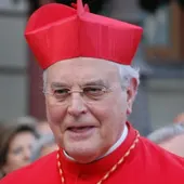 Cardenal Carlos Amigo Cardenal Carlos Amigo