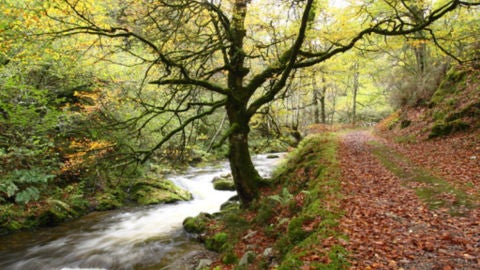 Cangas del Narcea busca ser Destino Tur&iacute;stico Inteligente 