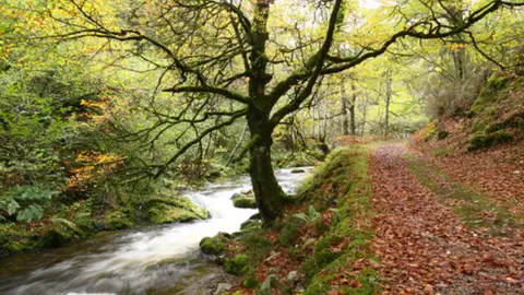 Cangas del Narcea busca ser Destino Turístico Inteligente Cangas del Narcea busca ser Destino Turístico Inteligente
