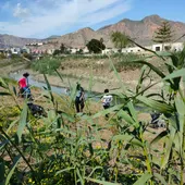 El Ayuntamiento de Orihuela ha llevado a cabo, este fin de semana, una retirada de plásticos en el margen derecho del Río Segura comprendido entre la salida del casco urbano en dirección a la pedanía de Molins El Ayuntamiento de Orihuela ha llevado a cabo, este fin de semana, una retirada de plásticos en el margen derecho del Río Segura comprendido entre la salida del casco urbano en dirección a la pedanía de Molins