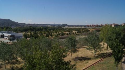 Real Jard&iacute;n Bot&aacute;nico Juan Carlos I, Universidad de Alcal&aacute;
