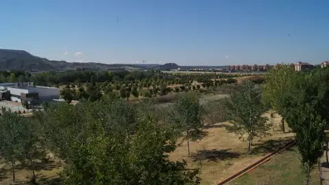 Real Jardín Botánico Juan Carlos I Real Jardín Botánico Juan Carlos I, Universidad de Alcalá
