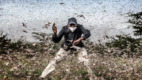 Lu&iacute;s Tato World Press Photo 2021