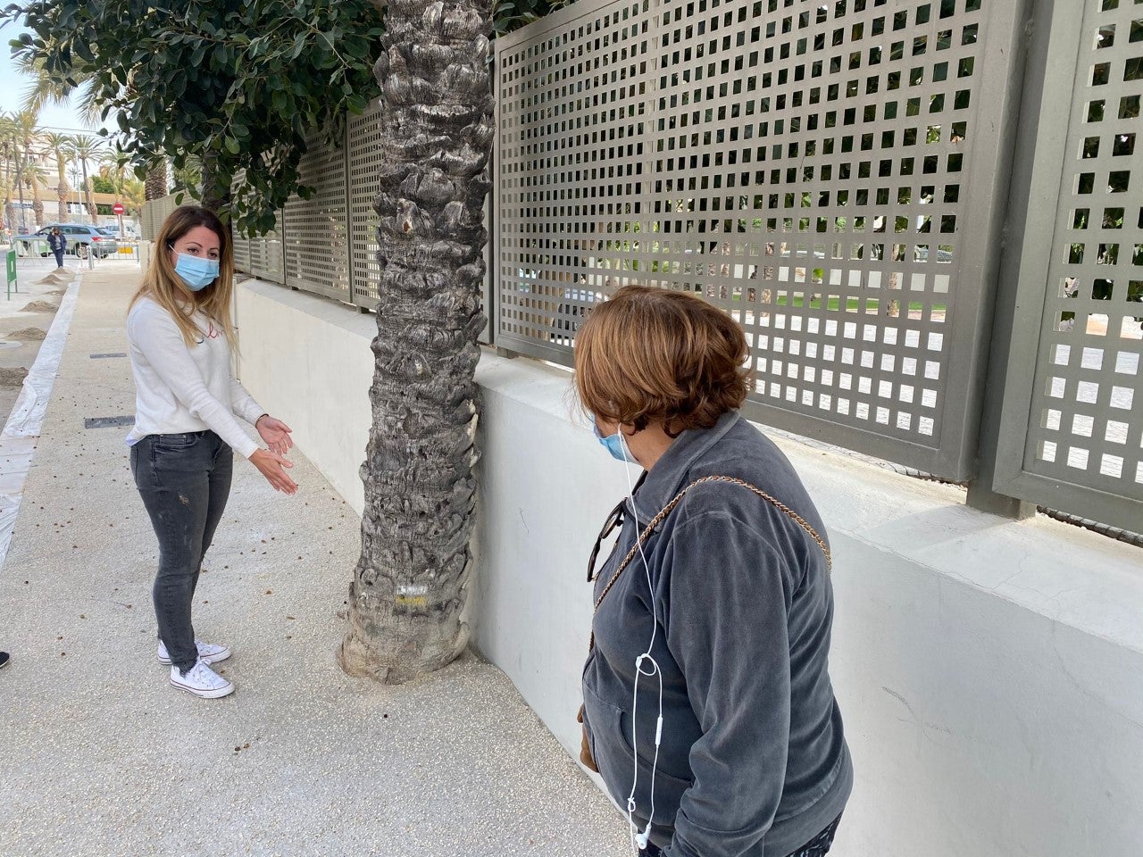 El PP de Elche asegura que se han hormigonado de nuevo alcorques de palmeras en la calle Nuestra Señora de la Cabeza El PP de Elche asegura que se han hormigonado de nuevo alcorques de palmeras en la calle Nuestra Señora de la Cabeza