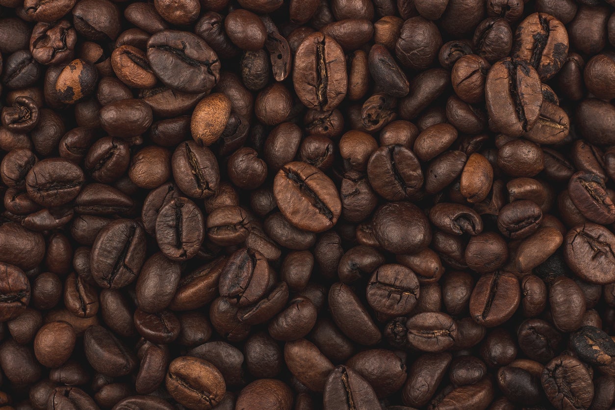 Fronteras del futuro: Casas ecológicas hechas con cáscaras de café Fronteras del futuro: Casas ecológicas hechas con cáscaras de café