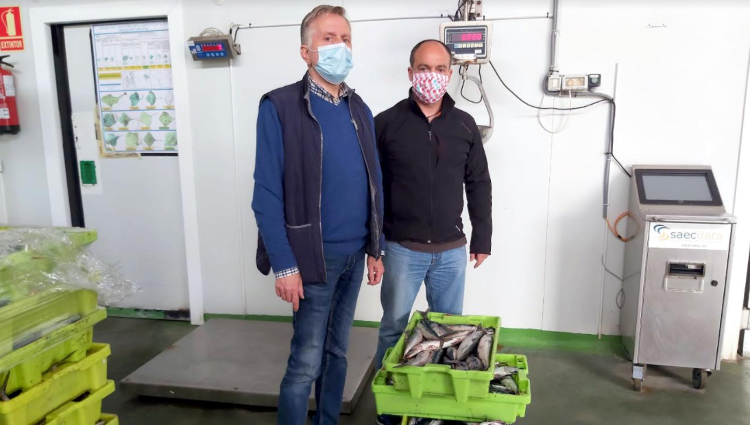 La cofradía de pescadores de Llanes dona más de 50 kilos de xarda para ayuda solidaria en el concejo La cofradía de pescadores de Llanes dona más de 50 kilos de xarda para ayuda solidaria en el concejo