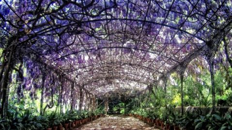 Jardín Botánico de la Concepción