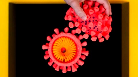 Coronavirus