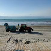 Se ha intensificado los trabajos de limpieza en las playas y paseos del arenal oriolano, procediendo a la retirada de las algas de los secaderos, cribando la arena, limpieza manual dunas 