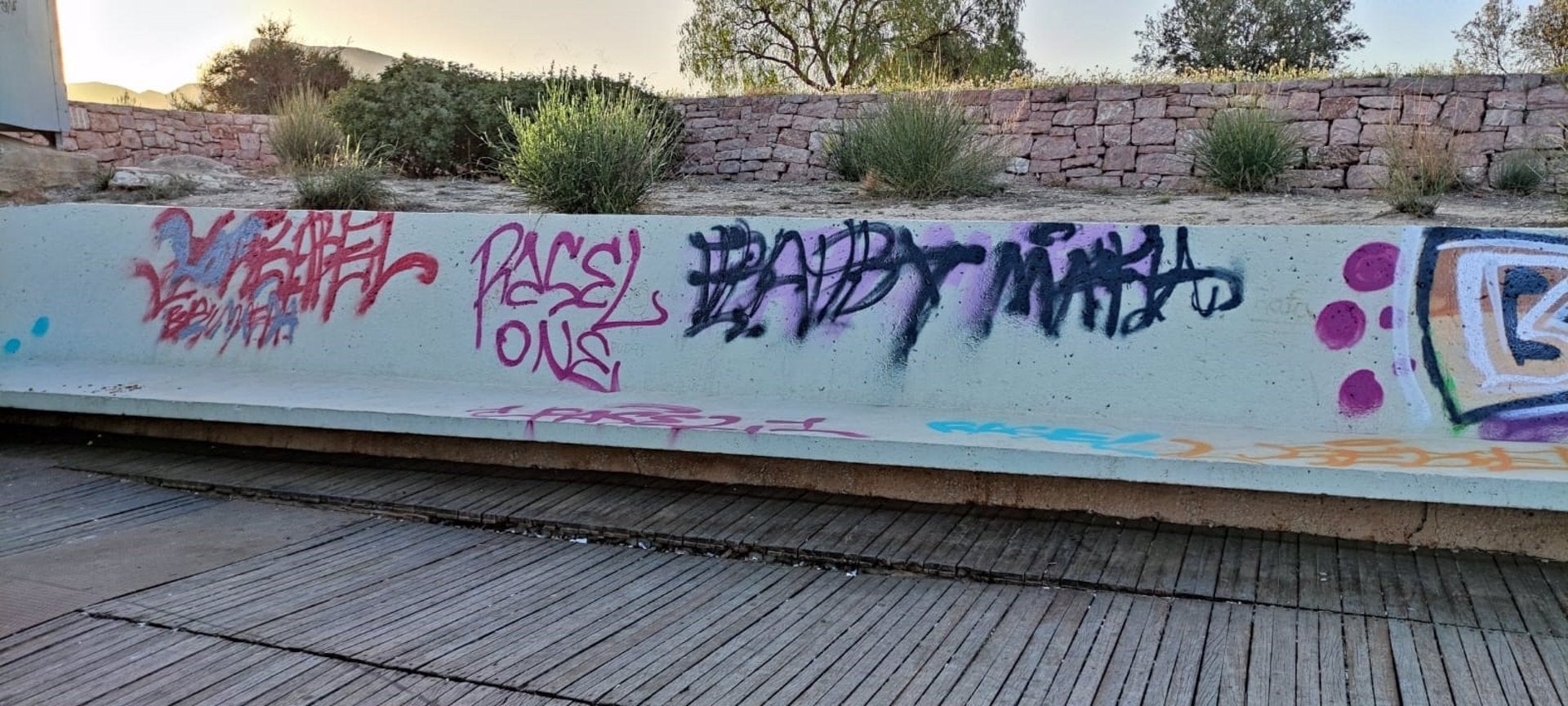 La policía de Petrer instruye diligencias contra cinco jóvenes por pintadas en espacios y públicos y propiedades privadas La policía de Petrer instruye diligencias contra cinco jóvenes por pintadas en espacios y públicos y propiedades privadas