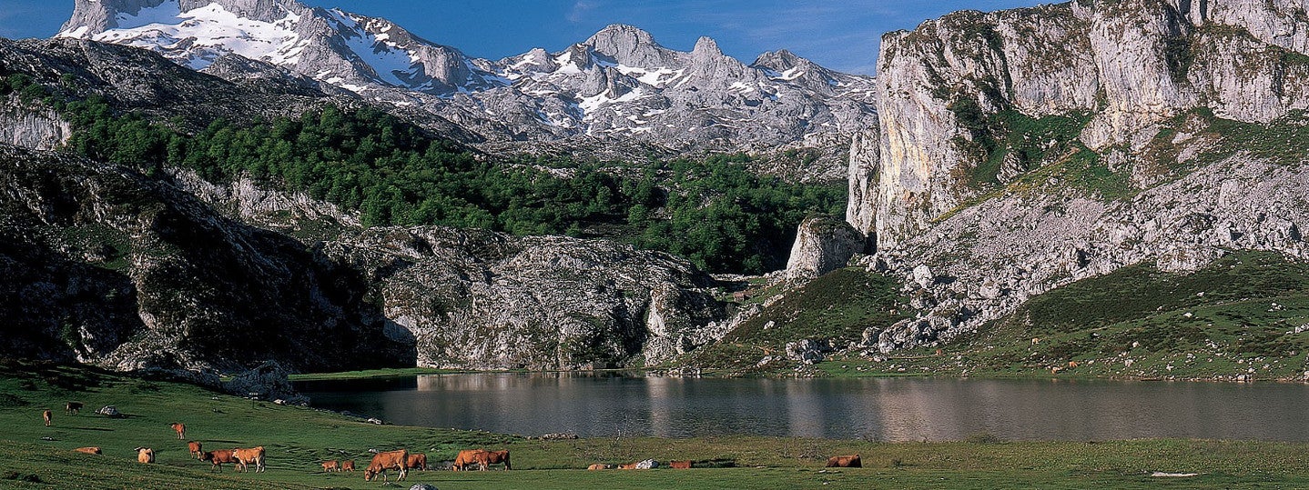 González Castro: "Hace 36 años el Ayuntamiento de Cangas de Onís ya reivindicaba su papel en las decisiones sobre el Parque Nacional" González Castro: "Hace 36 años el Ayuntamiento de Cangas de Onís ya reivindicaba su papel en las decisiones sobre el Parque Nacional"