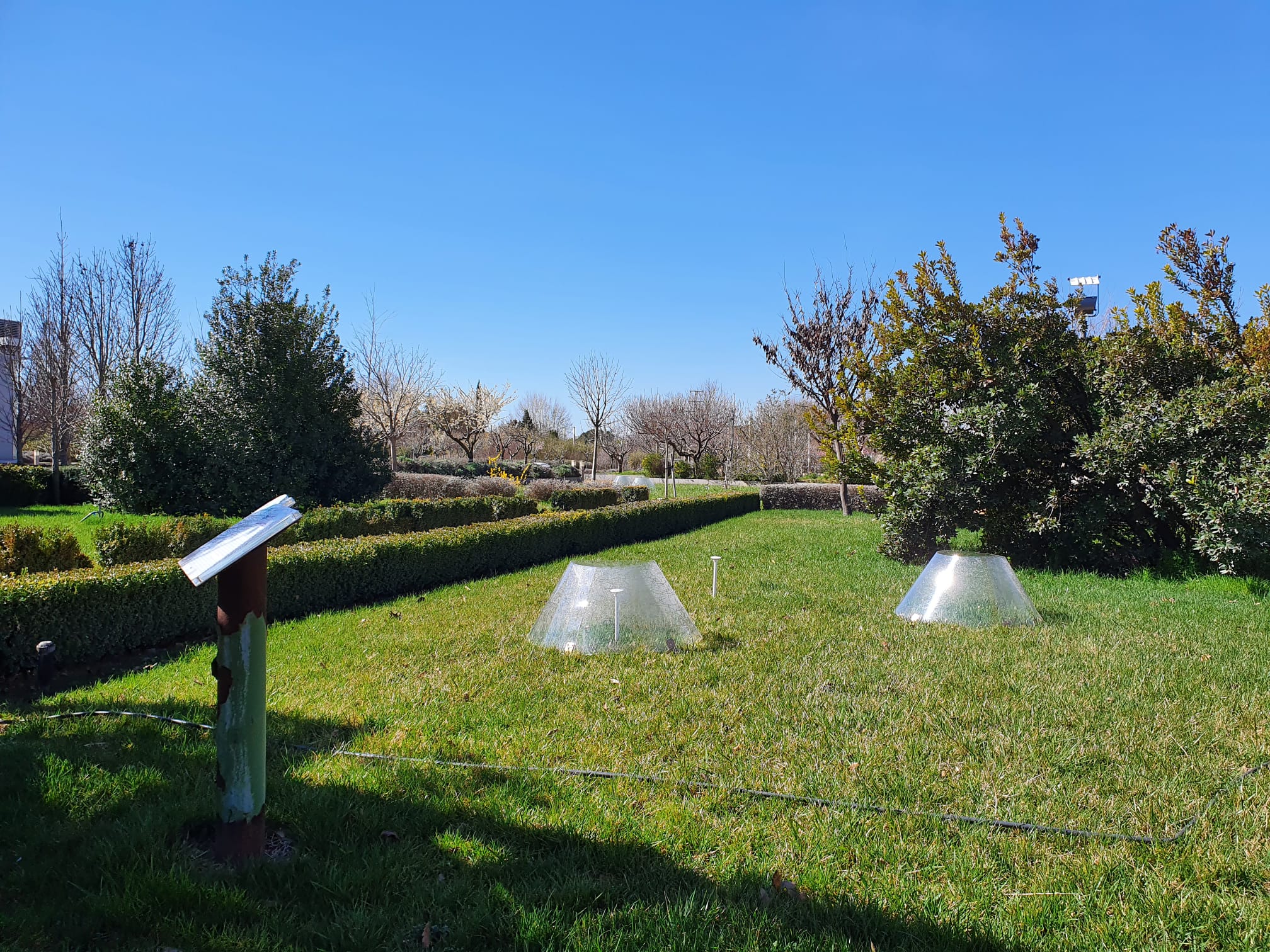 ¿Quieres saber cuántas personas visitaron el Jardín Botánico en 2022? ¿Quieres saber cuántas personas visitaron el Jardín Botánico en 2022?