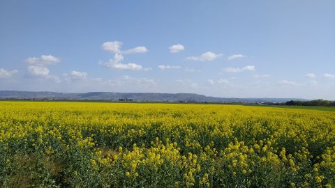 Semana Santa en Alcal&aacute; de Henares