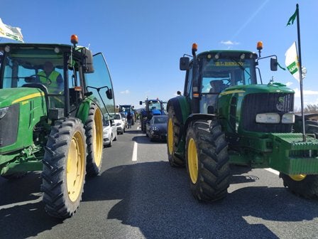 El sector agrario al límite: ahogados por las subidas del SMI sin compensaciones El sector agrario al límite: ahogados por las subidas del SMI sin compensaciones