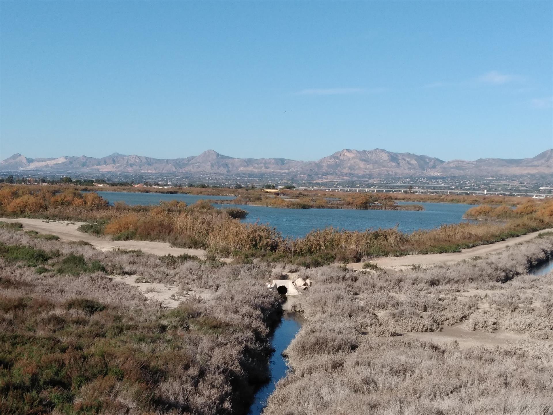 Riegos de Levante estudia con la Seiasa añadir a la desaladora proyectada en El Hondo una planta fotovoltaica Riegos de Levante estudia con la Seiasa añadir a la desaladora proyectada en El Hondo una planta fotovoltaica