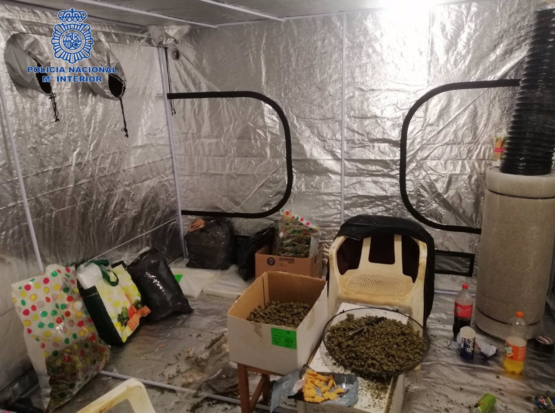Detenidas 29 personas, diez de ellas en Ciudad Real, en una operación antidroga en varios puntos de España Detenidas 29 personas, diez de ellas en Ciudad Real, en una operación antidroga en varios puntos de España