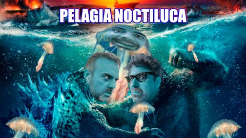 programa 23