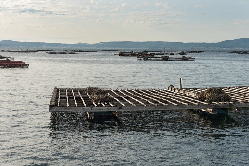 Se aprueba la Ley de Cambio Climático sin modificación del artículo que inquieta al sector mar-industria-alimentario gallego Se aprueba la Ley de Cambio Climático sin modificación del artículo que inquieta al sector mar-industria-alimentario gallego