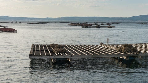 Br&uacute;jula de Galicia