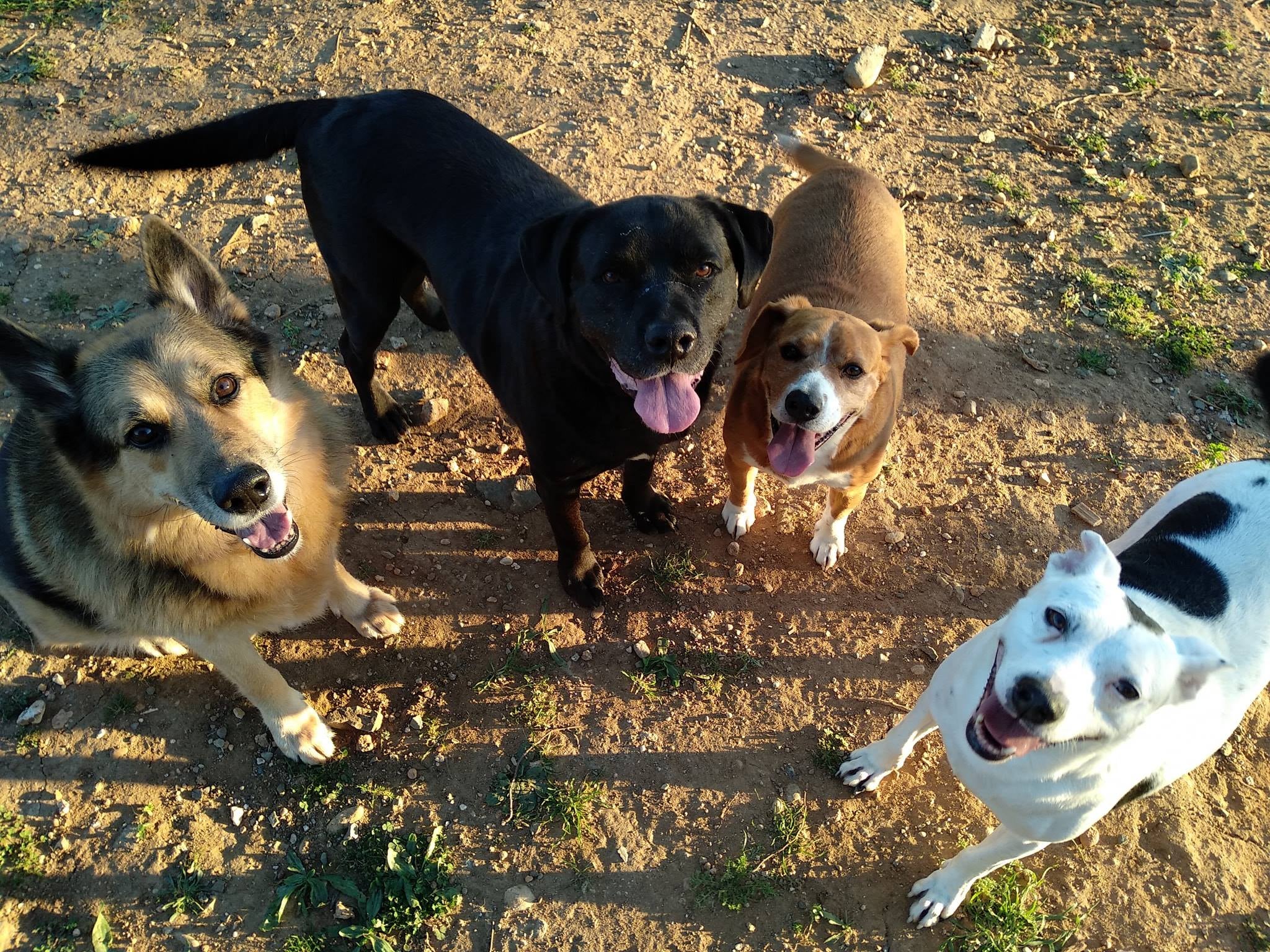 Más de Uno Marbella 12.30. Jueves 8 de abril de 2021 Más de Uno Marbella 12.30. Jueves 8 de abril de 2021