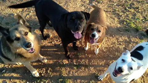 Triple A Marbella Triple A Marbella