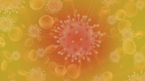 Br&uacute;jula de Galicia