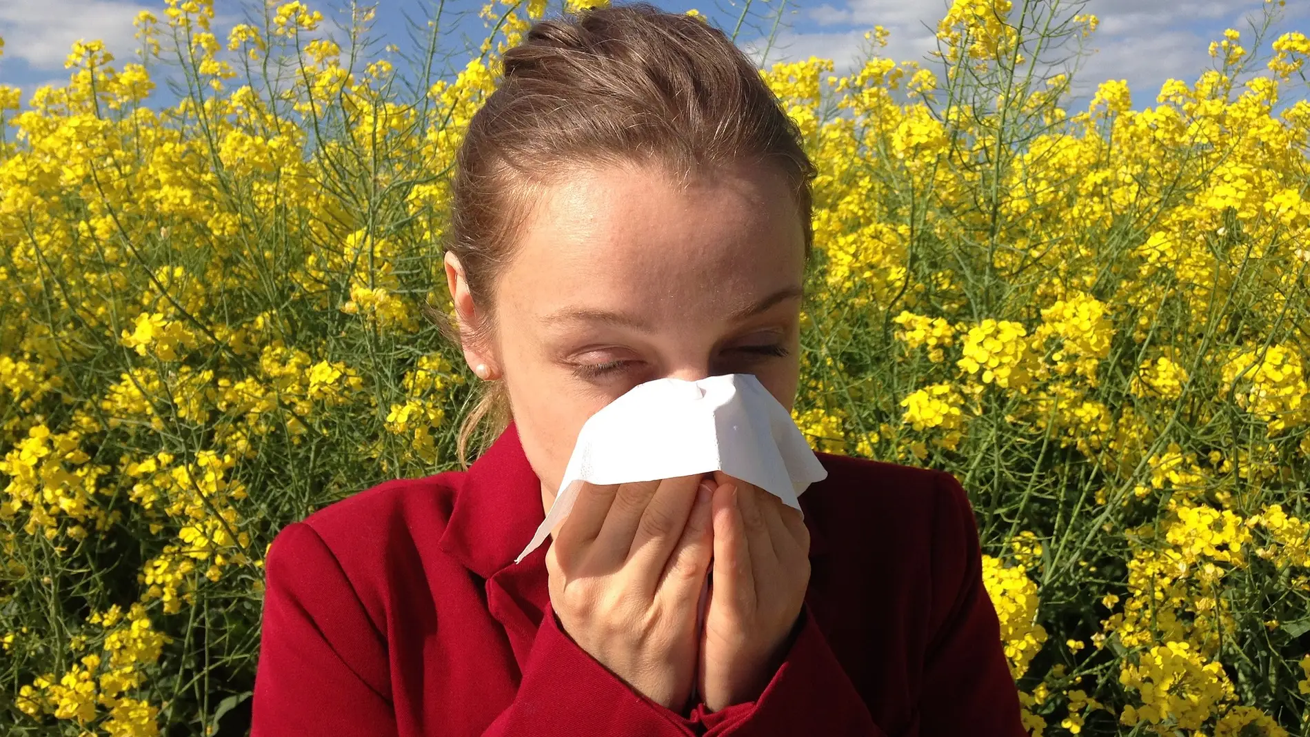 Alergias al polen