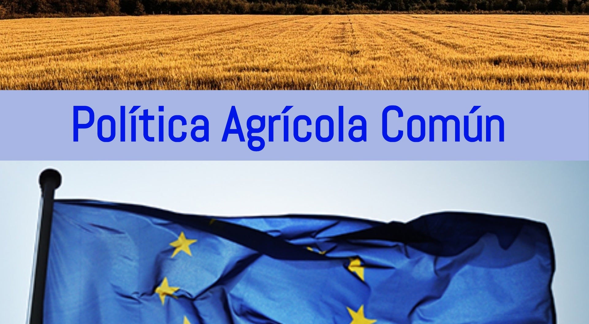 s organizaciones representativas del sector agrario malagueño se concentra ante la Subdelegación para rechazar la reforma de la PAC s organizaciones representativas del sector agrario malagueño se concentra ante la Subdelegación para rechazar la reforma de la PAC