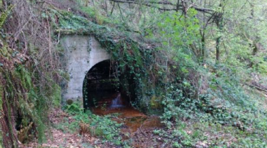 La CHC inicia las obras de acondicionamiento de los tramos de los cauces de los arroyos La Raíz y La Braña La CHC inicia las obras de acondicionamiento de los tramos de los cauces de los arroyos La Raíz y La Braña