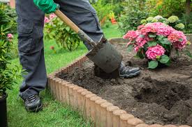 Cangas del Narcea busca cubrir dos plazas de peón de Jardinería del Plan de Empleo con beneficiarios del Salario Social Básico Cangas del Narcea busca cubrir dos plazas de peón de Jardinería del Plan de Empleo con beneficiarios del Salario Social Básico